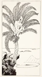 Pestonjee Bomonjee sentado en su palmera y observando a las cigüeñas rinoceronte bañándose, ilustración de 